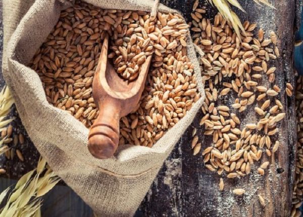 Озима пшениця Фортеця насіння Супереліта